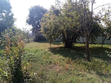 Torpaq sahələrinin satışı: Kənd təsərrüfatı — 1