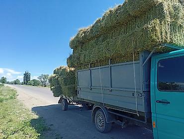 Прицепы и полуприцепы: Прицеп одноосный для легкого коммерческого автомобиля - Конструкция — 9