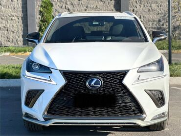 купить шевроле эквинокс: Lexus NX: 2020 г., Гибрид, Кроссовер