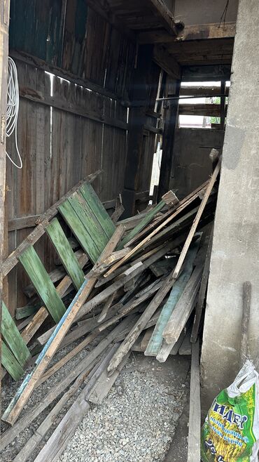 Отдам даром: Отдам доски и дрова 🪵 за 1000 с Полный портер выйдет Адрес Мусы at lalafo.kg Отдам даром: Отдам доски и дрова 🪵 за 1000 с Полный портер выйдет Адрес Мусы
