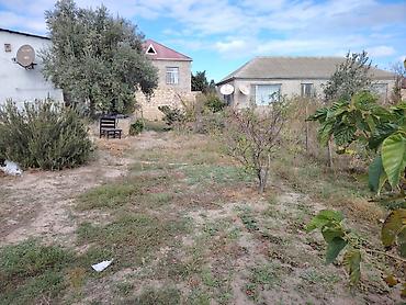 Həyət evləri və villaların satışı: NOVXANL BAĞLARI DƏNİZ KƏNARI 12 DAŞ KÜRSÜLÜ QİYMƏTDƏ ENDİRİM OLUNACAQ — 1