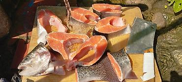 Другая рыбная продукция: Продаю холодного и горячего копчения Форель, домашнего приготовления — 5