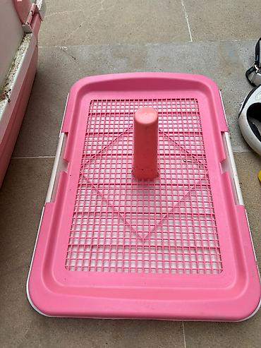kopək: Ev heyvanları üçün tam dəst Məhsul tərkibi: - Daşınma üçün plastik — 4