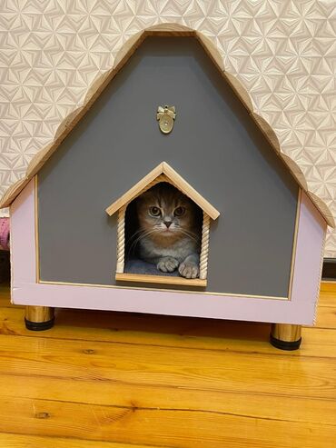 Yuvalar: Pişik üçün ev.el işleridi.muxtelif razmerler.ve hər cür rengler — 5