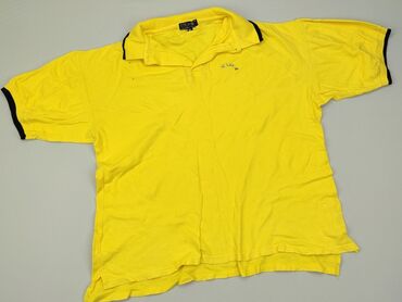 Tops: Polo shirt for men, XL (EU 42), condition - Good