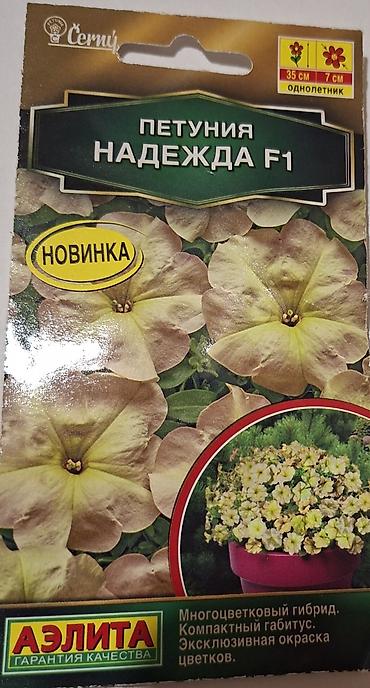 tut agaci calaq: Məhsul: Petuniya toxumları – AELITA (garantiya keyfiyyəti), bəzi — 8