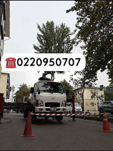 Стрела 22 м, 350 т, Борт 350 кг
