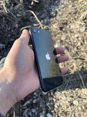 цена айфон 13 бишкек: IPhone SE 2020, Колдонулган, 64 ГБ, Jet Black, Каптама, 76 %