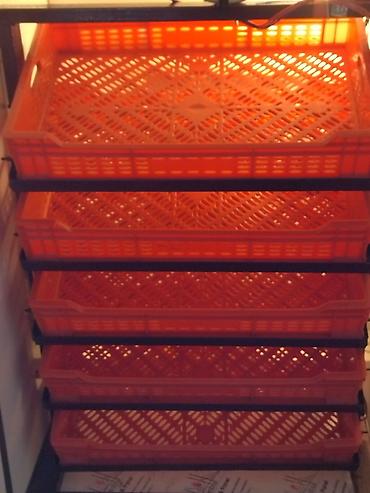 İnkubatorlar: 600 yumurta, Tam avtomat — 3