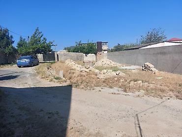 kiraye ev bine: Tikinti, Mülkiyyətçi, Kupça (Çıxarış) — 2