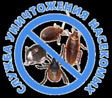 осы: Дезинфекциялоо, дезинсекциялоо, | Канталалар, Бүргөлөр, Таракандар, | Унаа, Офистер, Батирлер — 3