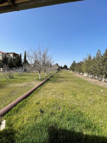 Bağ evlərinin kirayəsi: 400 kv. m, 5 otaqlı, Hovuzlu, Kanalizasiya, Kombi, Qaz — 26