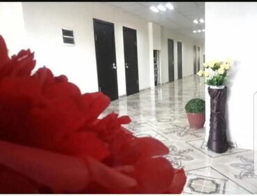 Иссык-Куль 2025: Номер, АК КАЛПАК ЦО Голубой Иссык-Куль, Чолпон-Ата, Парковка, стоянка, Охраняемая территория, Барбекю — 7