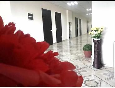 Иссык-Куль 2026: Номер, АК КАЛПАК ЦО Голубой Иссык-Куль, Чолпон-Ата, Парковка, стоянка, Охраняемая территория, Барбекю — 8