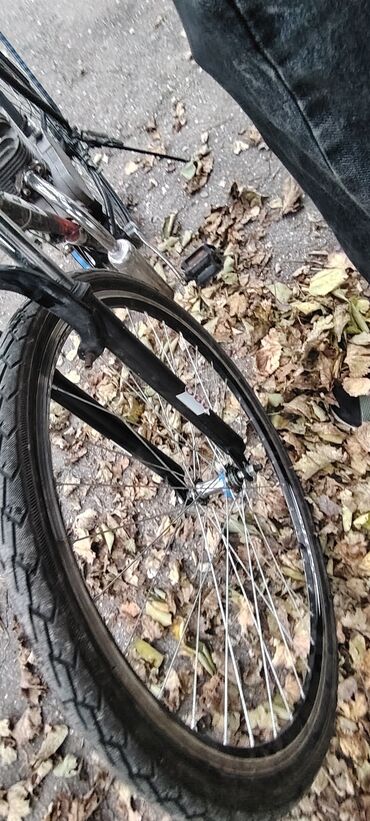 Mopedlər,skuterlər: Benzin mühərrikli velosiped - Çərçivə: PILOT markalı şosse/şəhər — 12