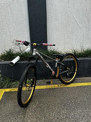 vinil disk: Şəhər və yüngül off-road üçün yığılımış tək sürətli velosiped - — 4