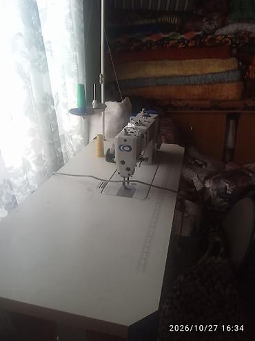 Zoje, В наличии