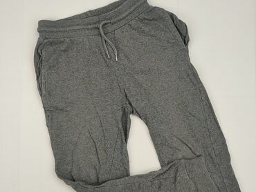 Sweatpants: Sweatpants, Destination, 11 years, 146, condition - Good