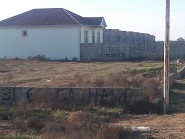 ramanıda: 10 sot, Kənd təsərrüfatı, Mülkiyyətçi, Kupça (Çıxarış) — 7