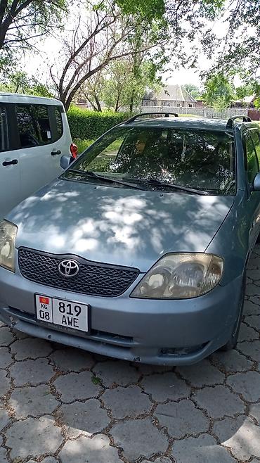 машина labo: Toyota Corolla: 2004 г., 1.9 л, Механика, Дизель, Универсал — 1