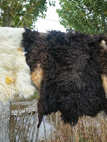 Ковры и паласы: Ковер Новый, Мех, Безналичная/наличная оплата at lalafo.kg — 11 Ковры и паласы: Ковер Новый, Мех, Безналичная/наличная оплата — 11