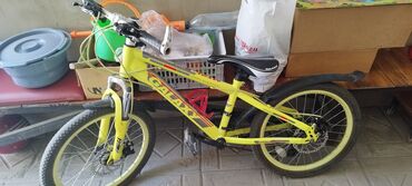 Городские велосипеды: Городской велосипед, Galaxy, Рама S (145 - 165 см), Сталь, Китай, Б/у