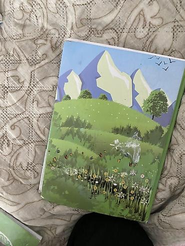 Китептер жана журналдар: Учебники для 4 класса для Кыргызких классов Комплект: - Мекен таануу — 2