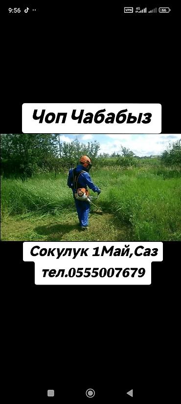 той кызматы: Чоп чабабыз Сокулук Ичи, 1Май,Саз,Айылдарында Коронун ичиэшиктин — 1