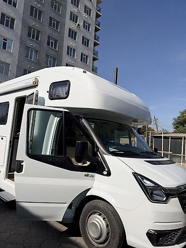 tranzit: Ford Transit: 2021 г., 2.2 л, Автомат, Дизель, Фургон — 6