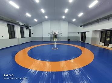 Другое для спорта и отдыха: Маты Ковры маты даянги татами дзюдо борцовские ковры гимнастические — 9