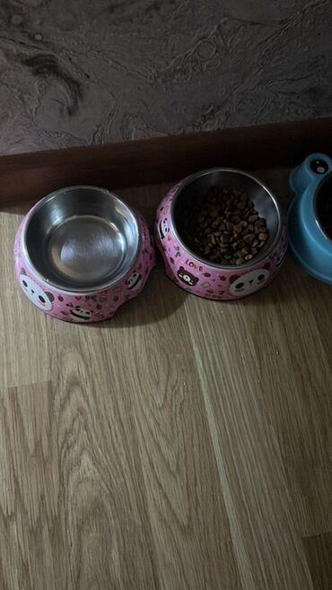 Mini: Mini : 1.4 l | 2006 il 285000 km Van/Minivan — 16