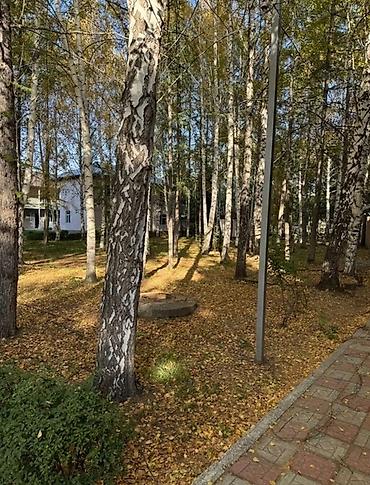 отели: Продается пансионат на берегу озера Иссыкуль, в селе Бостери, на — 4