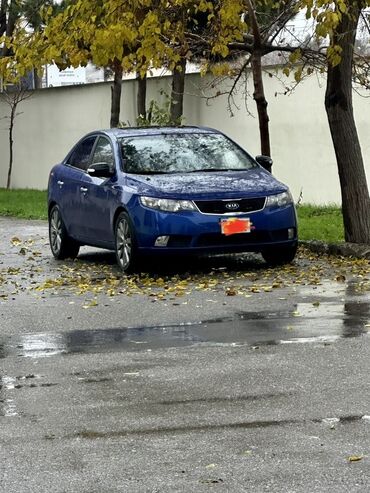 Kia: Kia Cerato: 2 l | 2009 il Sedan — 34