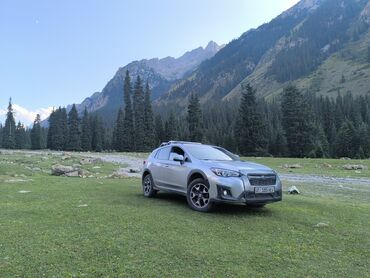 полик на форестер: Subaru Crosstrek: 2017 г., 2 л, Вариатор, Бензин, Кроссовер