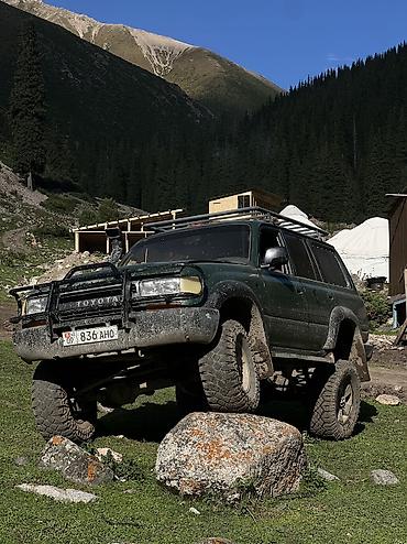 тлк 80: Toyota Land Cruiser: 1993 г., 4.2 л, Механика, Дизель, Внедорожник — 2