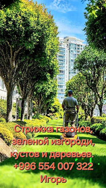 Уборка территории, Стрижка газона