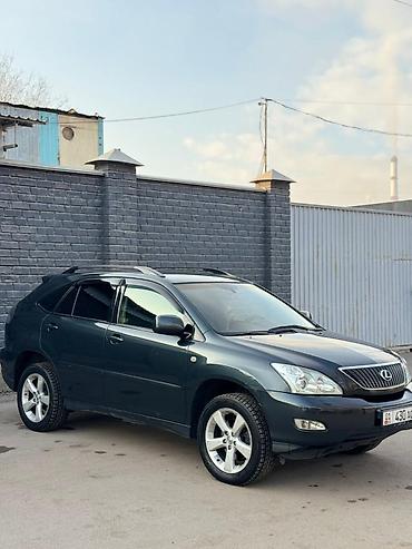 лехсу: Lexus RX: 2004 г., 3 л, Автомат, Бензин, Кроссовер — 3