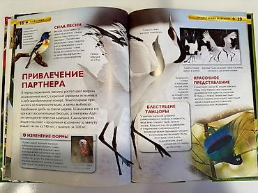 водный мир: Детская энциклопедия «Животные» Иллюстрированная книга о мире — 2