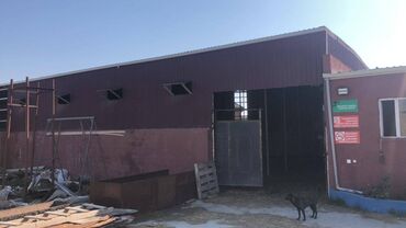 Torpaq sahələrinin satışı: 48 sot, Kənd təsərrüfatı, Makler, Kupça (Çıxarış) — 26