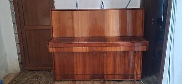 Музыкальные инструменты: Uprav pianino – şaquli model. - Korpus: parlaq cilalı təbii ağac — 10