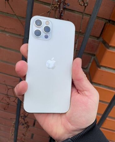 Apple iPhone: IPhone 12 Pro, 256 GB, Matte Silver, Face ID