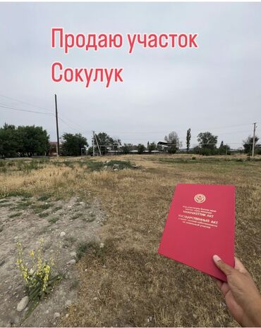 земельный участок военно антоновка: 4 соток, Для строительства, Красная книга
