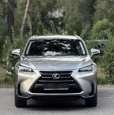 Lexus: Lexus NX: 2016 г., Кроссовер — 3