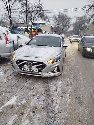 Hyundai: Hyundai Sonata: 2018 г., 2 л, Автомат, Газ, Седан — 4