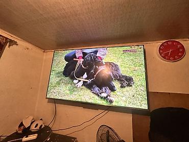 Телевизор SKYWORTH 65" с Google TV - Диагональ: 65 дюймов -