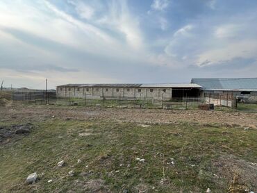 Torpaq sahələrinin satışı: Kənd təsərrüfatı — 26