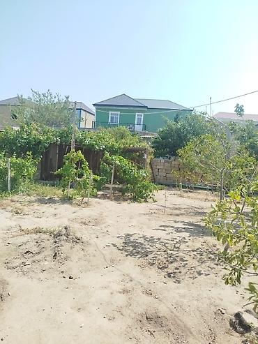 binə mehriban qonşular: 2 sot, Tikinti, Mülkiyyətçi, Kupça (Çıxarış) — 1