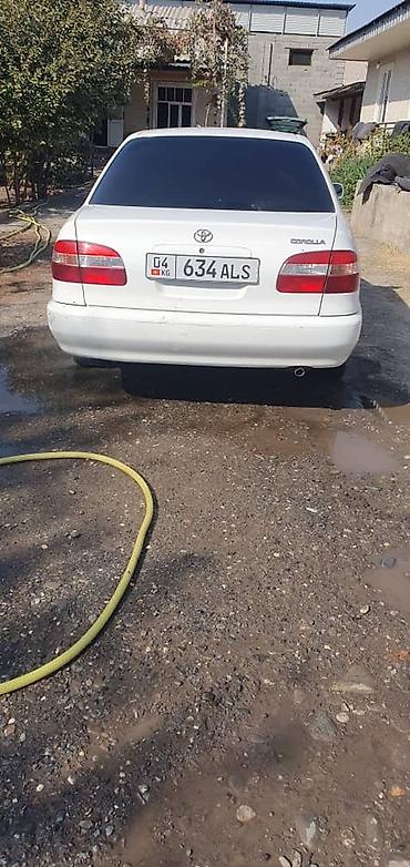 тойота корола 1997: Toyota Corolla: 1998 г., 1.5 л, Автомат, Бензин, Седан — 3