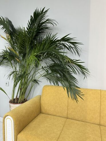 Продажа квартир: 1 комната, 39 м², Элитка, 4 этаж, Евроремонт