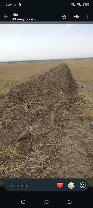сокулук кун туу: 31 соток, Белек келишими — 6